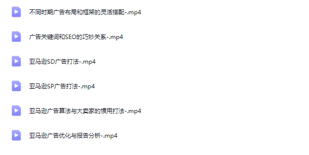 亚马逊大卖家高阶打法数据分析【Ac-0044】