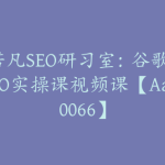 若凡SEO研习室：谷歌SEO实操课视频课【Aa-0066】