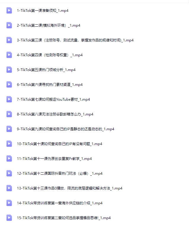 TikTok流量增长变现训练营【Ad-0051】