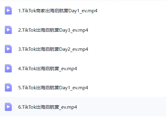 交个朋友(同款)·TIKTOK商家出海启航营【Ad-0038】