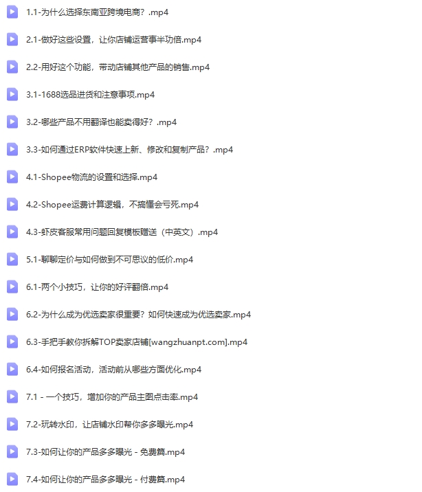 跨境Shopee(虾皮）基础运营实操课(完结)【Ae-0006】