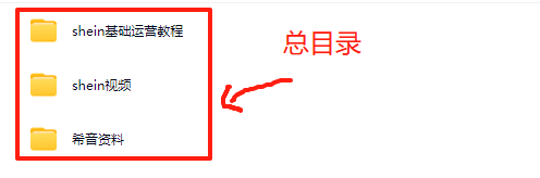 SHEIN希音电商运营课｜零基础全流程实战（选品 物流 营销+跨境电商技巧）【Ag-0204】