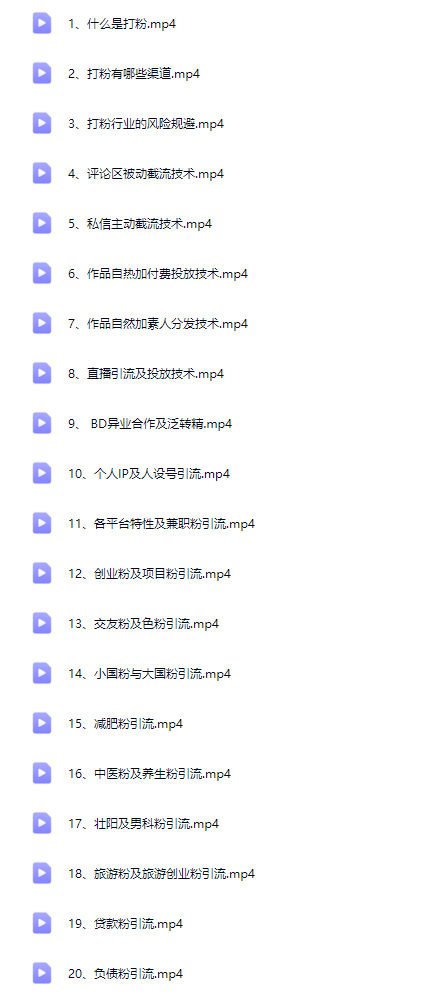 新手打粉引流必学课｜零基础入门到实战（引流技巧+私域运营+全套教程）【Bb-0154】