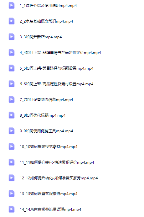 京东电商运营实战打造电商爆款【Bd-0014】