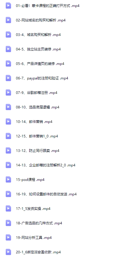 跨境电商独立站训练营，从小白到精通手把手教你做跨境+独立站建站实战课【Aa-0069】