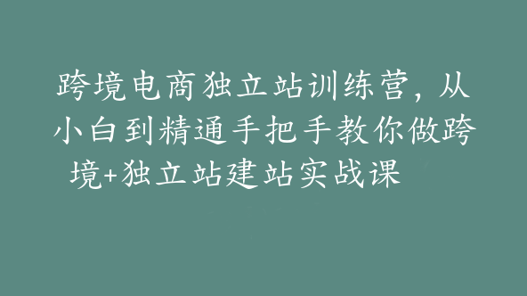 跨境电商独立站训练营，从小白到精通手把手教你做跨境+独立站建站实战课【Aa-0069】