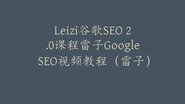 Leizi谷歌SEO 2.0课程雷子Google SEO视频教程（雷子）【Ab-0008】
