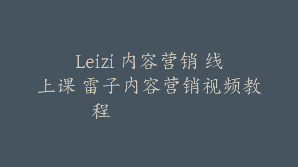 Leizi 内容营销 线上课 雷子内容营销视频教程【Ab-0009】