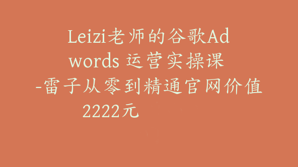 Leizi老师的谷歌Adwords 运营实操课 -雷子从零到精通官网价值2222元【Ab-0010】