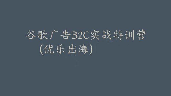 谷歌广告B2C实战特训营(优乐出海)【Ab-0049】