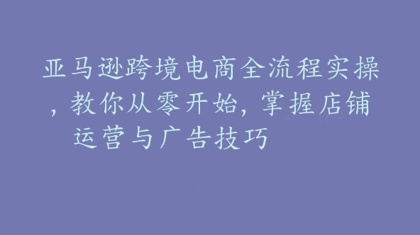 亚马逊跨境电商全流程实操，教你从零开始，掌握店铺运营与广告技巧【Ac-0042】