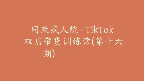 同款疯人院·TikTok 双店带货训练营(第十六期)【Ad-0037】