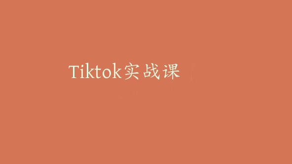 Tiktok实战课【Ad-0045】