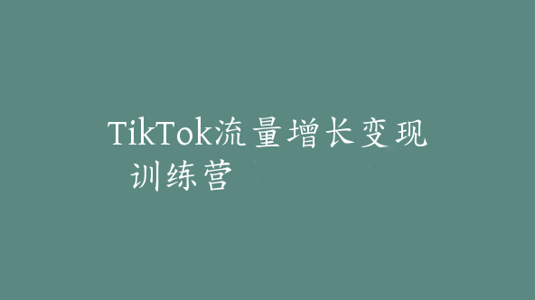 TikTok流量增长变现训练营【Ad-0051】
