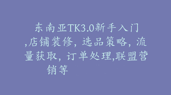东南亚TK3.0新手入门,店铺装修，选品策略，流量获取，订单处理,联盟营销等【Ad-0054】