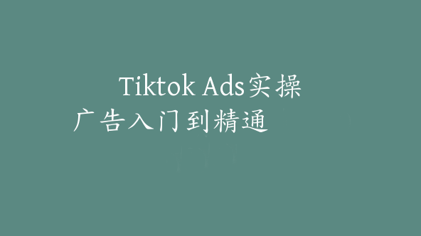 Tiktok Ads实操广告入门到精通【Ad-0056】