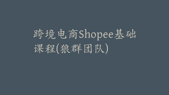 跨境电商Shopee基础课程(狼群团队)【Ae-0001】