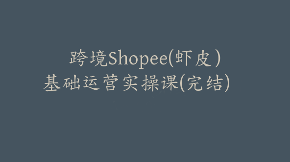 跨境Shopee(虾皮）基础运营实操课(完结)【Ae-0006】