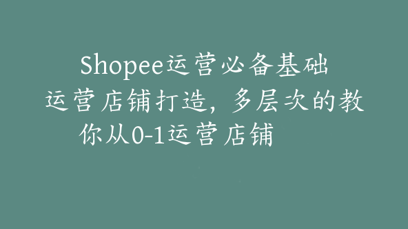 Shopee运营必备基础运营店铺打造，多层次的教你从0-1运营店铺【Ae-0007】
