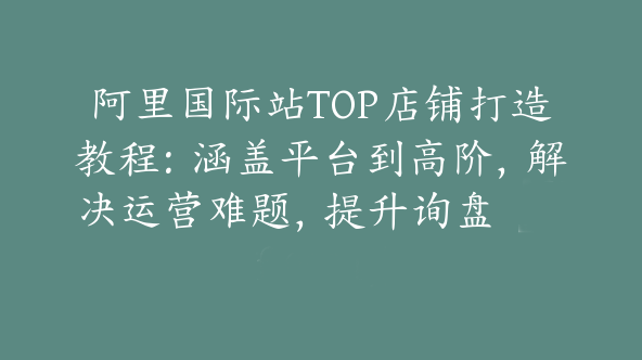 阿里国际站TOP店铺打造教程：涵盖平台到高阶，解决运营难题，提升询盘【Af-0024】
