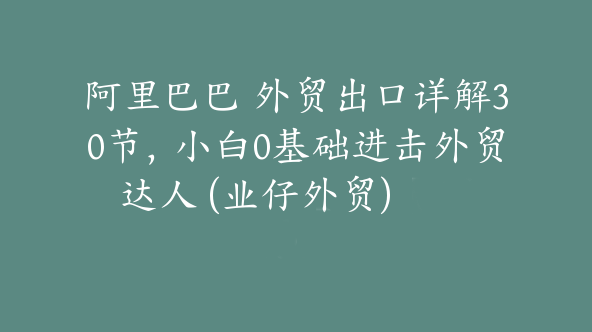 阿里巴巴 外贸出口详解30节，小白0基础进击外贸达人 (业仔外贸)【Af-0026】