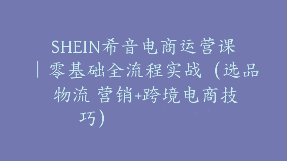 SHEIN希音电商运营课｜零基础全流程实战（选品 物流 营销+跨境电商技巧）【Ag-0204】