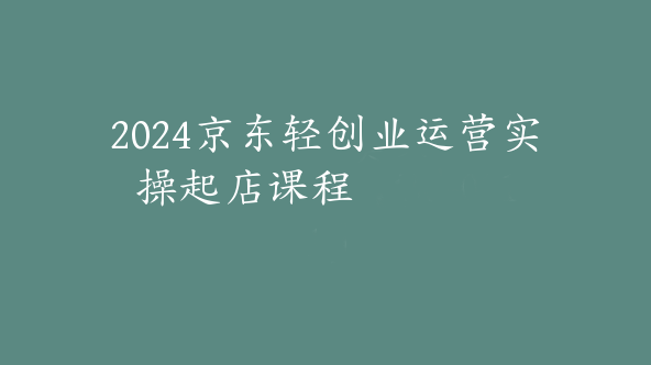 2024京东轻创业运营实操起店课程【Bd-0011】