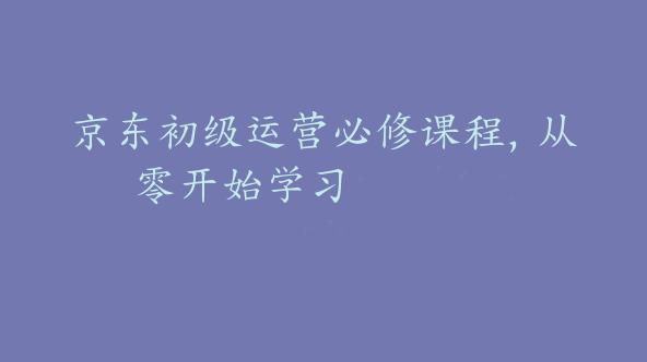 京东初级运营必修课程，从零开始学习【Bd-0012】