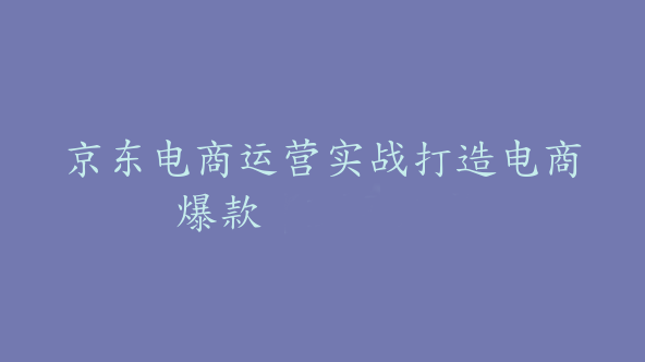 京东电商运营实战打造电商爆款【Bd-0014】