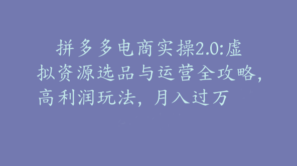 拼多多电商实操2.0:虚拟资源选品与运营全攻略，高利润玩法，月入过万【Be-0028】