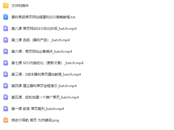 暴利单品单页网站搭建和SEO策略教程【Aa-0025】