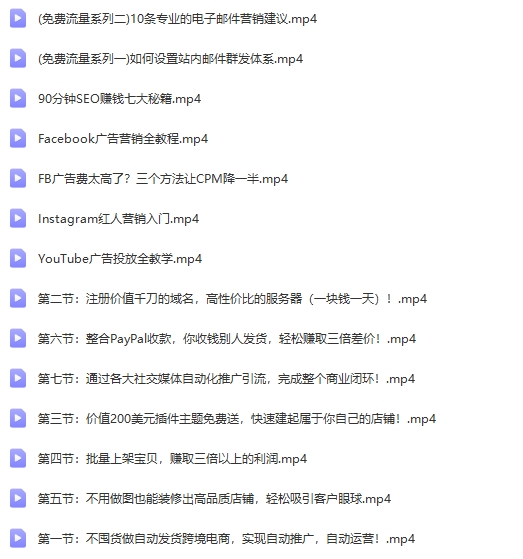 起赚美金·无货源自动化跨境独立站【无提供插件】【Aa-0034】