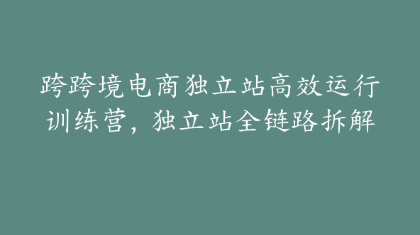 跨跨境电商独立站高效运行训练营，独立站全链路拆解【Aa-0030】