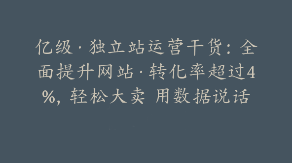 亿级·独立站运营干货：全面提升网站·转化率超过4%，轻松大卖 用数据说话【Aa-0035】