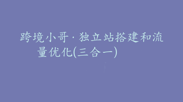 跨境小哥·独立站搭建和流量优化(三合一)【Aa-0038】