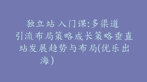 独立站 入门课:多渠道 引流布局策略成长策略垂直站发展趋势与布局(优乐出海）【Aa-0045】