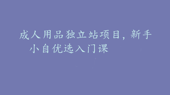 成人用品独立站项目，新手小自优选入门课【Aa-0047】