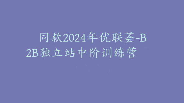 同款2024年优联荟-B2B独立站中阶训练营【Aa-0056】