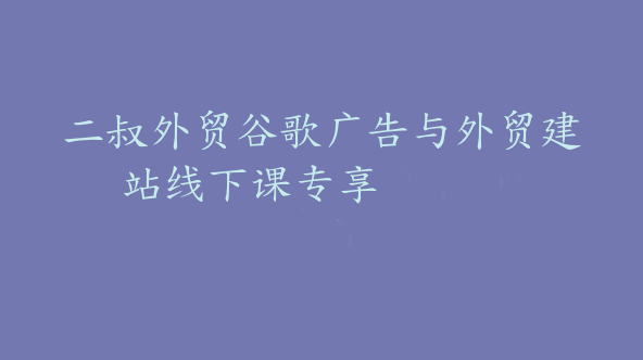 二叔外贸谷歌广告与外贸建站线下课专享【Aa-0060】