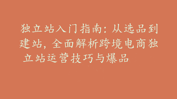 独立站入门指南：从选品到建站，全面解析跨境电商独立站运营技巧与爆品【Aa-0062】