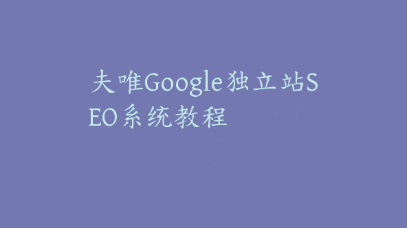 夫唯Google独立站SEO系统教程【Aa-0063】