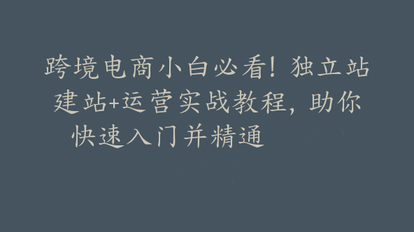 跨境电商小白必看！独立站建站+运营实战教程，助你快速入门并精通【Aa-0065】