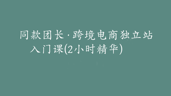 同款团长·跨境电商独立站入门课(2小时精华)【Ag-0110】