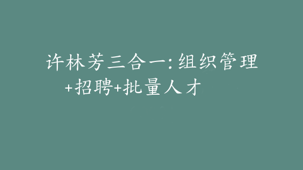 许林芳三合一: 组织管理+招聘+批量人才[Dc-0009]