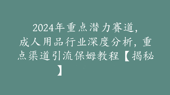 2024年重点潜力赛道，成人用品行业深度分析，重点渠道引流保姆教程【揭秘】【F-0005】