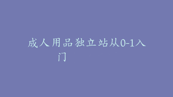 成人用品独立站从0-1入门【F-0008】