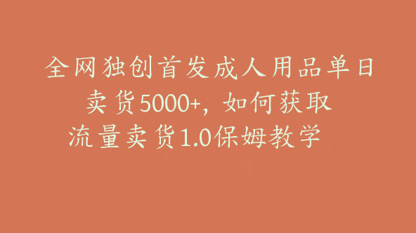 全网独创首发成人用品单日卖货5000+，如何获取流量卖货1.0保姆教学【F-0011】