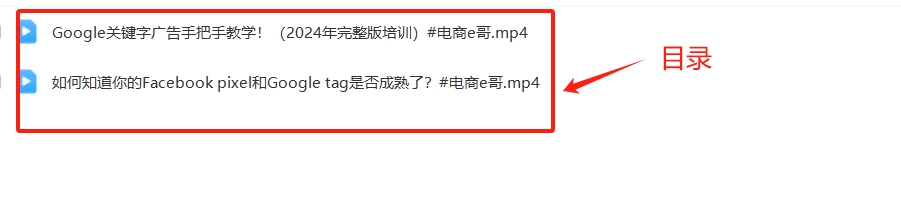 电商E哥 Google Ads【2024】【Ag-0075】