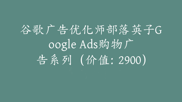 谷歌广告优化师部落英子Google Ads购物广告系列（价值：2900）【Ab-0019】