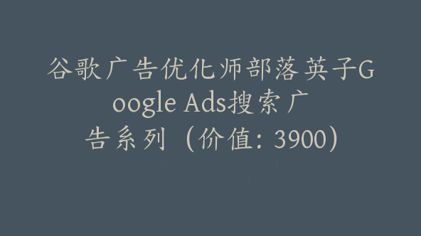 谷歌广告优化师部落英子Google Ads搜索广告系列（价值：3900）【Ab-0020】